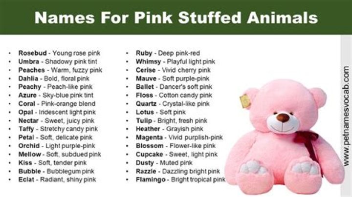 Unveiling The Sweetest Names For Pink Stuffed Animals: A Journey Of Discovery