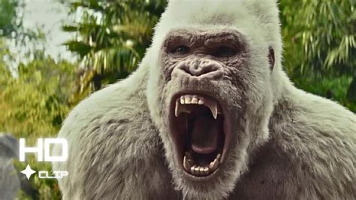 Was Rampage Jackson in a Movie? Exploring His Journey from Octagon to Screen