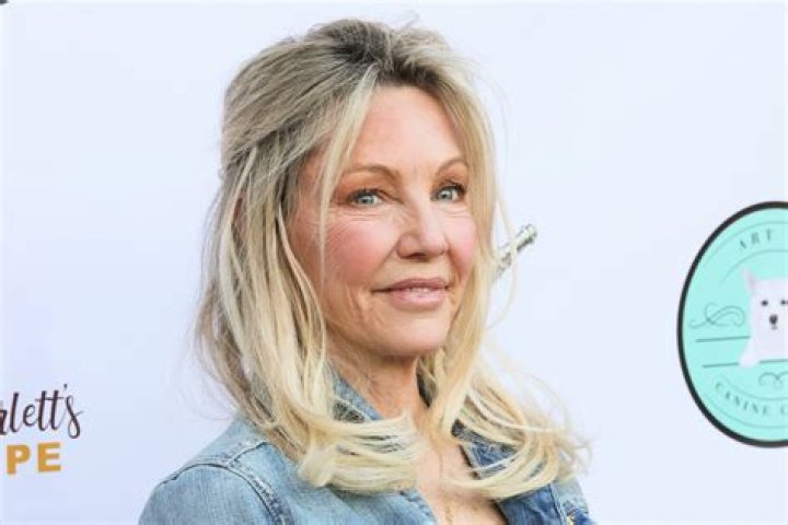 What Does Heather Locklear's Daughter Do? Exploring Ava Sambora's Path