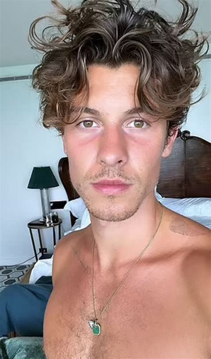 What Illness Does Shawn Mendes Have? Understanding His Health Journey