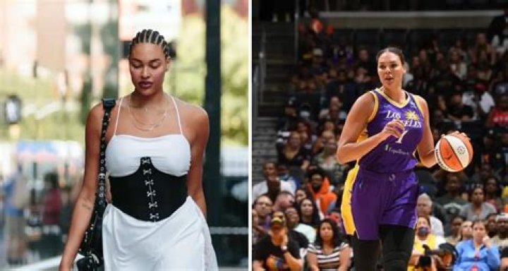 What is Liz Cambage Doing Now? Unpacking the Path of a Basketball Star