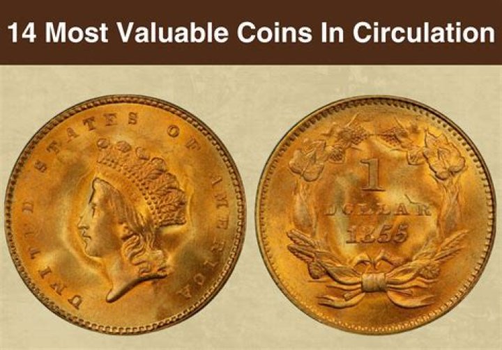 What is the Highest Denomination Coin? Unpacking Records and Rarity