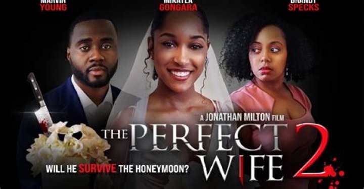 What Streaming Service Has the Perfect Wife? Finding Your Ideal Match