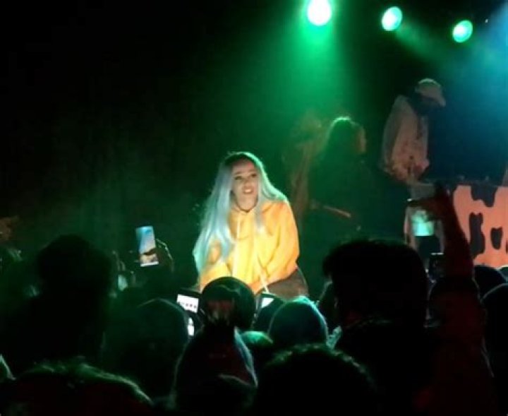 What Year Did Doja Cat Come Out? Unpacking Her Rise to Stardom