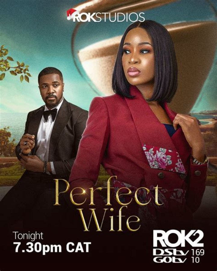 Where Can I Watch The Perfect Wife Documentary in Canada?