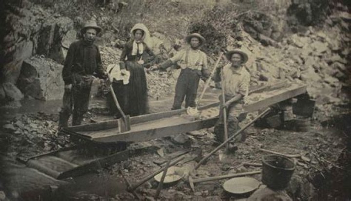 Why Did the Dakota Boys Leave Gold Rush? Unpacking Their Journey