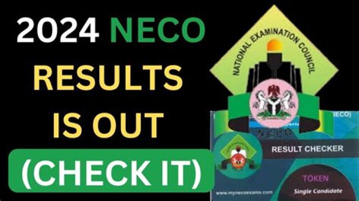 Your Guide To 2024 NECO Registration